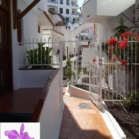 Apartment Casa Cattleya Los Cristianos (Tenerife)