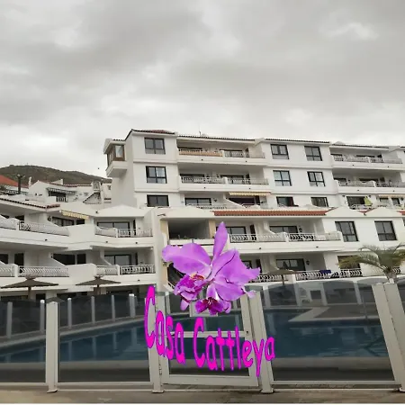 Apartment Casa Cattleya