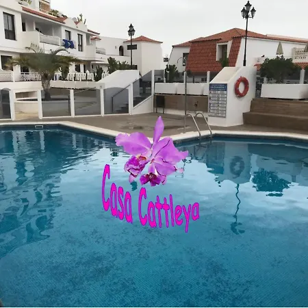 Apartment Casa Cattleya *